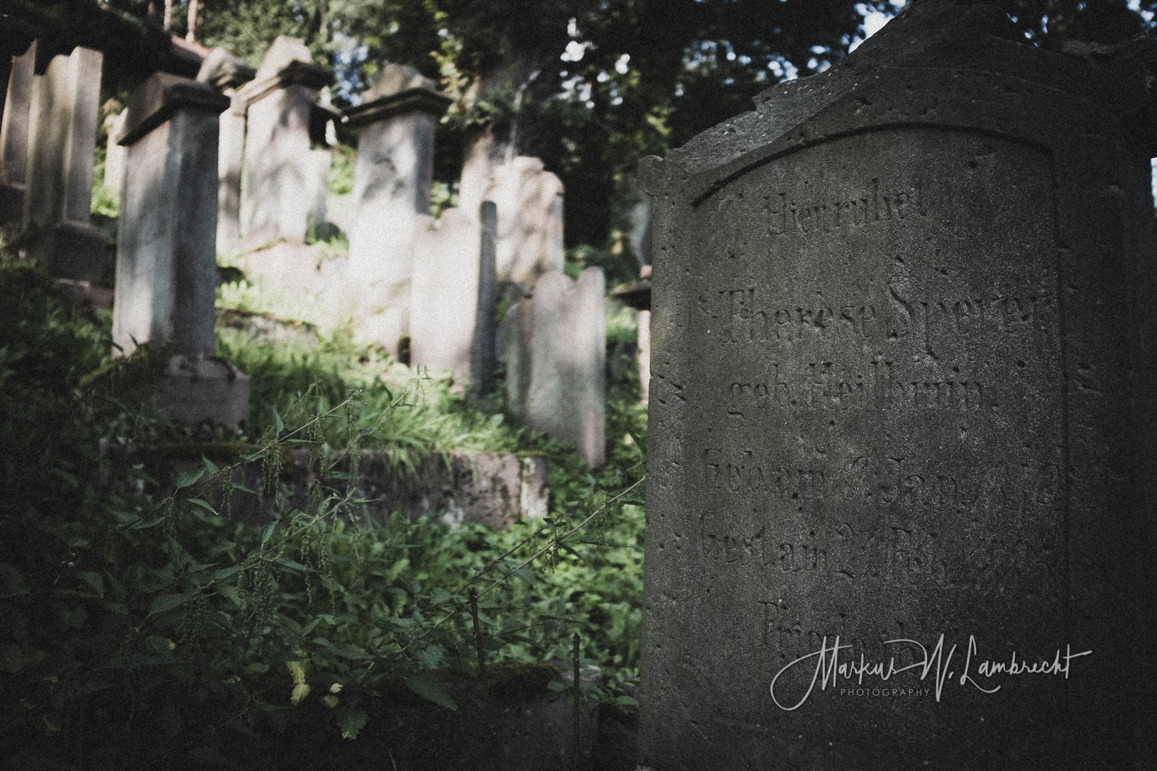 Adelebsen, Jüdischer Friedhof
